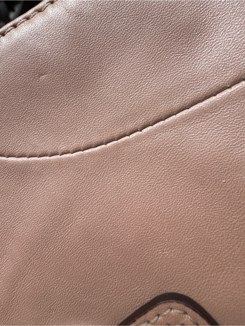 Coach Crossbody - Picture 13 of 15
